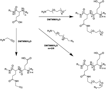 Poly(2‐Oxazoline) Amphiphilicity Tunes the Excited‐State