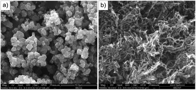 Scanning electron microscopy of (a) granular and (b) nanotubular PPy.