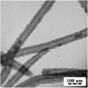 Transmission electron microscopy illustration of nanotubular structure.