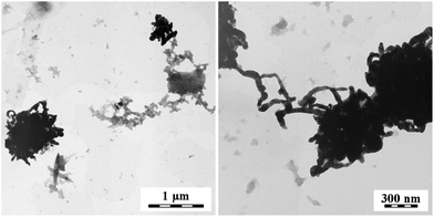 PPy composites obtained by the reduction of silver nitrate with globular PPy salt. Two magnifications.
