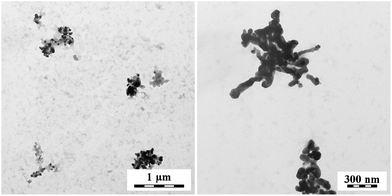 PPy composites obtained by the reduction of silver nitrate with globular PPy base. Two magnifications.