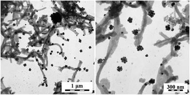 PPy composites obtained by the reduction of silver nitrate with nanotubular PPy base. Two magnifications.