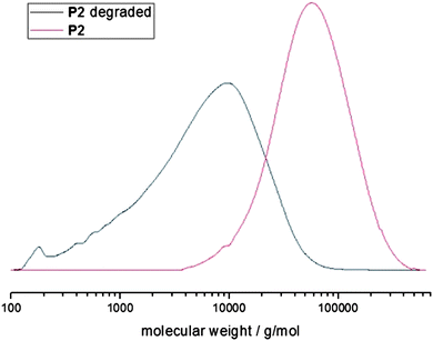 Molecular weight distributions from SEC (in CHCl3, vs. PS standards) of P2 and the hydrolyzed product.