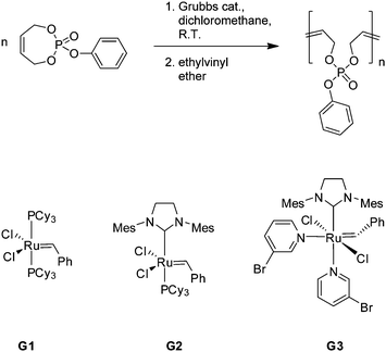 Ring-opening metathesis polymerization of 1 with different Grubbs-type catalysts.