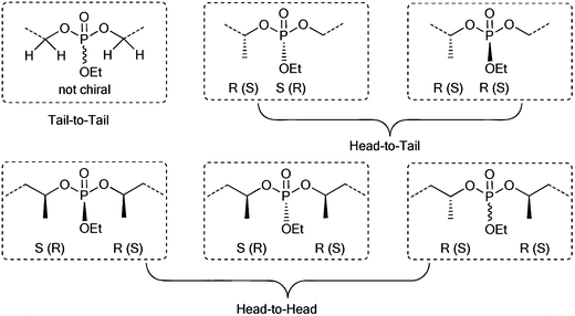 Six possible dyads of P(EEP-co-EMEP) that are magnetically not equivalent (structures within dashed boxes are enantiomers and chemically equivalent).