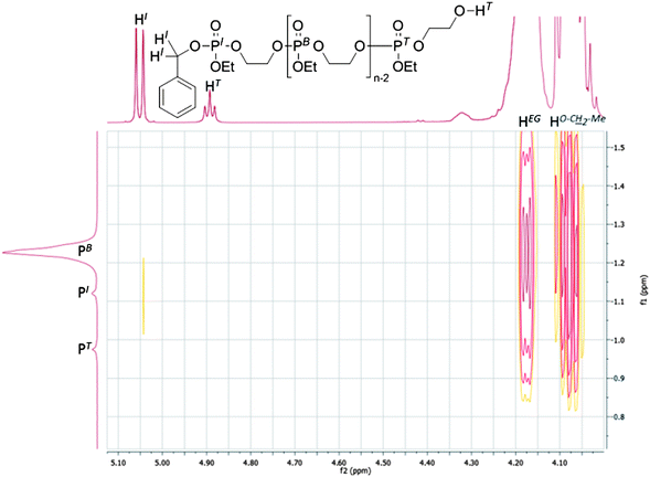 
            1H31P HMBC NMR of PEEP32 in DMSO-d6. Cross-coupling between the different phosphorus species and protons is revealed.