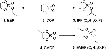 Cyclic phosphate monomers synthesized from ethylene glycol (top) and EMEP synthesized from 1,2-propanediol (bottom). IPP and EMEP are isomers.