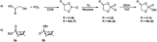 (a) Synthesis of EEP (1) and EMEP (5). (b) The two possible conformers of EMEP (5a and 5b) result in two distinct resonances in 31P NMR spectroscopy.