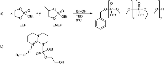 (a) Copolymerization of EEP and EMEP. (b) Proposed mechanism of how TBD activates both the initiator or the propagating species (ROH) and the monomer.36