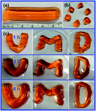 The use of the self-healing nature of the hydrogel to produce complex architectures. (a) The original hydrogel. (b) The hydrogel after being cut. (c–e) The hydrogel segments arranged in the form of letters: U, M, and D, after (c) 1 hour, (d) 3 hours, and (e) 6 hours of self-healing.