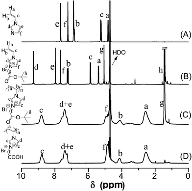 
          1H-NMR spectra (in D2O) of 1-vinyl imidazole (A), monomeric IL (B), its corresponding PIL (C) and the deprotected form PIL–COOH (D).