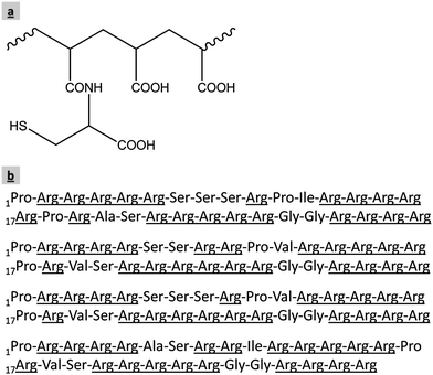 Structure of polyacrylic acid–cysteine (thiomer) (a) and the arginine-rich amino acid sequences of four major protamine components extracted from salmon sperm (b).45,46