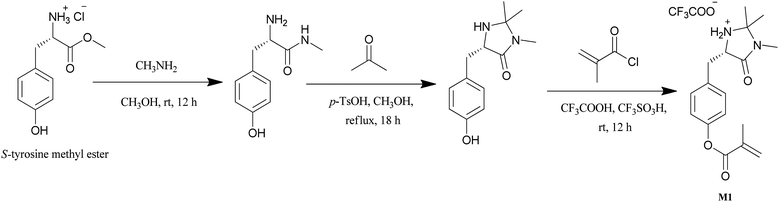 Synthesis of S-MacMillan functionalized monomer (M1) from S-tyrosine methyl ester.