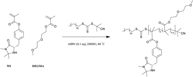 A representative RAFT polymerization scheme of M1 and DEGMA.