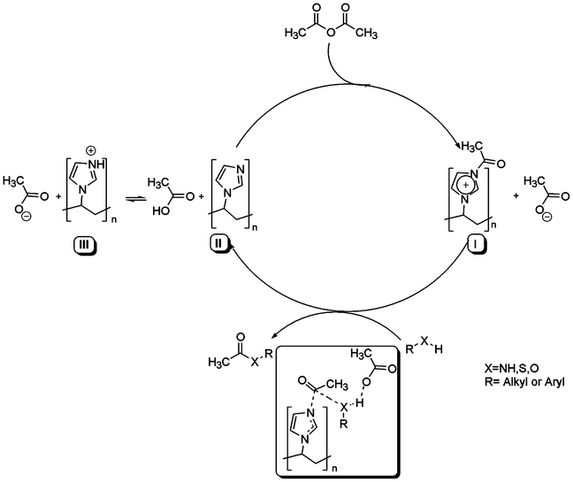 The plausible mechanism.