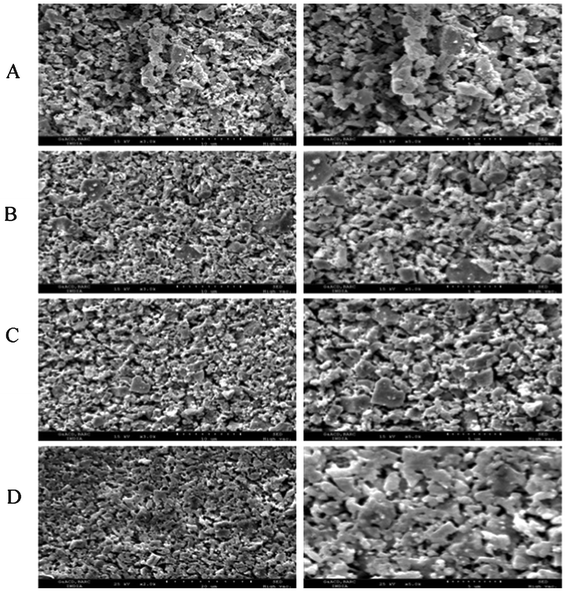 SEM images of Dy1−xBixO1.5 (A: x = 0.05; B: x = 0.20; C: x = 0.33 and D: x = 0.50) pellets recorded at different magnifications. (Left column is at 3 K and right column is at 5 K magnification).