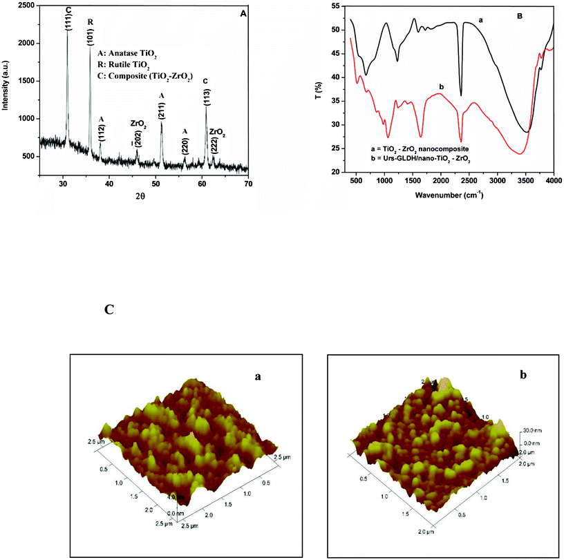 (A) XRD pattern of TiO2–ZrO2 nanocomposite, (B) FTIR spectra of TiO2–ZrO2/ITO electrode (a) and Urs-GLDH/TiO2–ZrO2/ITO bioelectrode (b), (C) AFM image of TiO2–ZrO2/ITO (a) and Urs-GLDH/TiO2–ZrO2/ITO (b).