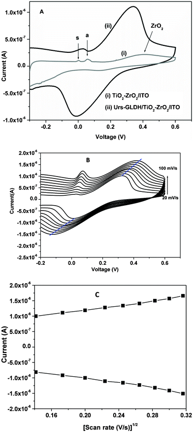 (A) (i) Cyclic voltammetry (CV) of TiO2–ZrO2/ITO electrode and (ii) Urs-GLDH/TiO2–ZrO2/ITO bioelectrode in PBS, (B) CV of Urs-GLDH/TiO2–ZrO2/ITO bioelectrode at different scan rates in PBS. (C) Magnitude of redox peak currents as a function of square root of scan rate.