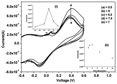 CV response of Urs-GLDH/TiO2–ZrO2/ITO bioelectrode as a function of pH in PBS (5.5–8); inset (i): calibration curve between anodic peak current and pH value and inset (ii): shows the effect of flow rate on the response current