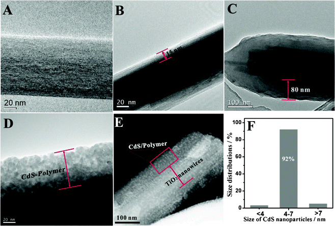 TEM images of (A) TiO2 nanowires, (B) poly(NMTE)-TiO2 nanowires, (C) P3HTA-TiO2 nanowires, (D) CdS-P3HTA-TiO2 nanowires, (E) STEM images of CdS-P3HTA-TiO2 nanowires. (F) Histogram of size distribution of CdS nanoparticles.