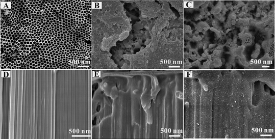 FESEM images of (A) TiO2 nanotubes, (B) poly(3THA)-TiO2 nanotubes, (C) CdS-Poly (3THA)-TiO2 nanotubes. Cross-section FESEM views of (D) TiO2 nanotubes, (E) poly(3THA)-TiO2 nanotubes, (F) CdS-poly(3THA)-TiO2 nanotubes.
