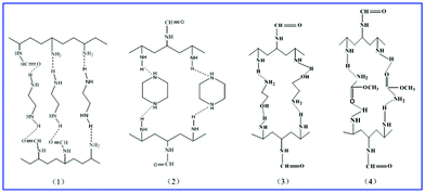 Schematic diagram of the intermolecular hydrogen bonds in the SMA-modified PVAm samples: (1) EDA-modified PVAm; (2) PIP-modified PVAm; (3) MEA-modified PVAm; (4) MC-modified PVAm.