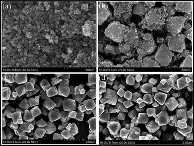 SEM images of GeTe crystals (sample 1) produced from reaction of Ge2+ and TOP-Te in OLA at 150 °C and reaction times of (a) 2 min, (b) 10 min, (c) 30 min, (d) 60 min.