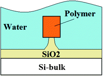 The cross-section of the polymer core waveguide supported by an oxide pedestal structure.