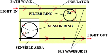 The top view of a multiple ring resonator architecture based on the Vernier effect.