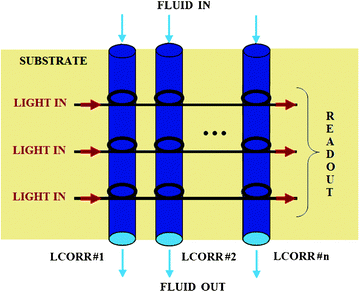 A schematic illustration of a LCORR sensor array.113