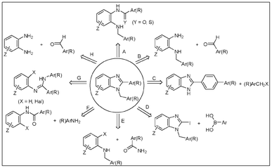Synthetic strategies for the formation of 1,2-disubstituted benzimidazoles.