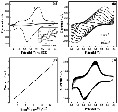 (A) CV of CoNP–Pt/CNTs (trace a), CoNP (trace b), CoNP–Pt (trace c), Pt/CNTs (trace d) and CoNP–CNTs (trace e) films modified glassy carbon electrodes at a scan rate of 50 mV s−1. (B) CV of the CoNP–Pt/CNTs films modified electrode at different scan rates: 10, 30, 50, 70, 100, 130, 160 and 200 mV s−1. (C) A plot of the reduction peak current versus the square root of scan rate in the range 10–200 mV s−1. (D) CV of the CoNP–Pt/CNTs film during the first 100 cycles at a scan rate of 50 mV s−1. Each CV was conducted in PBS (pH 5.8).