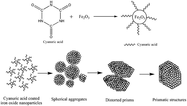 Illustration of the formation of prismatic iron oxide nanoparticles.
