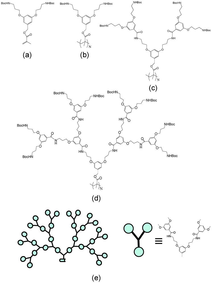 Chemical structure of: (a) the monomer (branching unit) used for the synthesis of PG1; (b) PG1; (c) PG2; and (d) PG3. (e) Schematic representation of PG4 used below to describe the organization of neighboring dendrons. The chemical structures of DPs with higher g (i.e. PG6–PG7) are obtained using the same procedure: attaching new dendrons to the deprotected amine groups of the external layer. (Boc: tert-butyloxycarbonyl).
