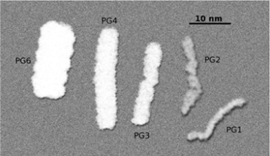 Representation of the modeled PG1–PG6 (PG5 excluded) DPs in vacuum at the same length scale.