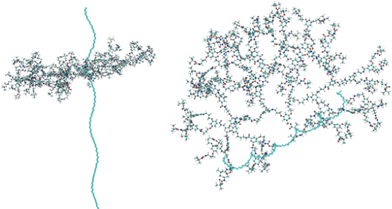 Detailed views of a representative dendron of PG6 after complete relaxation using 10 ns of MD. The two views clearly show that the relaxed dendron is wrapping the backbone.