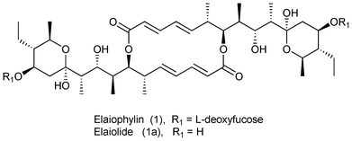 Structure of elaiophylin and elaiolide.