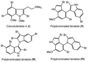 Representative biologically active 2-bromoindoles.