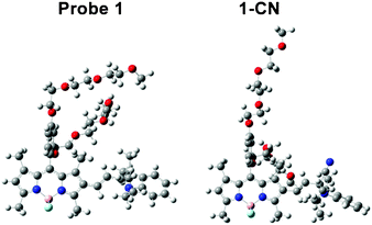 Optimized structures of probe 1 and reaction product 1-CN as obtained from TD-DFT calculations.