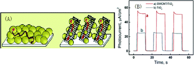 (A) Electron transport across nanostructured semiconductor films in the absence and in the presence of a nanotube support architecture. (B) Photocurrent response vs. time profiles of carbon fiber electrode/SWCNT/TiO2 (a) and carbon fiber electrode/TiO2 (b) electrodes at 0 V vs. SCE. Light intensity was 50 mW cm−2 (λ > 300 nm). Reprinted from ref. 76 with permission from the American Chemical Society.