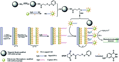 Schematic diagram of the stepwise fabrication and detection process for determination of the thiols. Reprinted from ref. 102 with permission from the Royal Society of Chemistry.