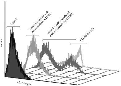 Flow-cytometry analysis of CD105+ cells (ASCs) isolated from a heterogeneous cell mixture (10 : 1, Saos-2:ASCs) using amino-functionalized magnetic microparticles previously coupled with anti-CD105 antibody.42 Reprinted with permission from ref. 42. Copyright 2011, The Royal Society.