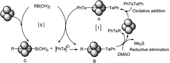 Possible mechanism