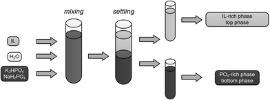 Principles of an IL-based ATPS.