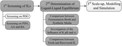 Structure of the investigation. Grey: this study.