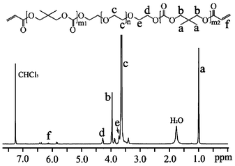 
            1H NMR spectrum of DPD-DA2.