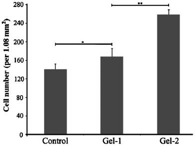 Attached SCCs on the surface of control, Gel-1 and Gel-2 after 2 h incubation at 37 °C. Values were means ± SD (n = 3). Statistical significance was indicated with * (p ≤ 0.05) and ** (p ≤ 0.01).