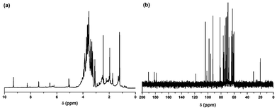 (a) 1H-NMR and (b) 13C-NMR spectra of the carbon dots.
