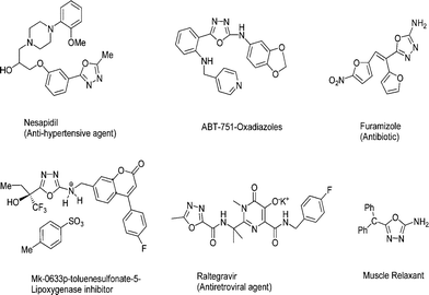 Oxadiazoles antibiotics