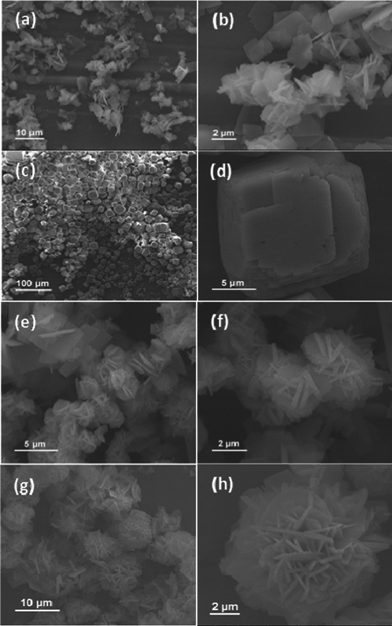 SEM images of the synthesized NiCo2O4 samples from different hydrothermal reaction times: (a–b) 3 h; (c–d) 6 h; (e–f) 9 h; (g–h) 12 h.